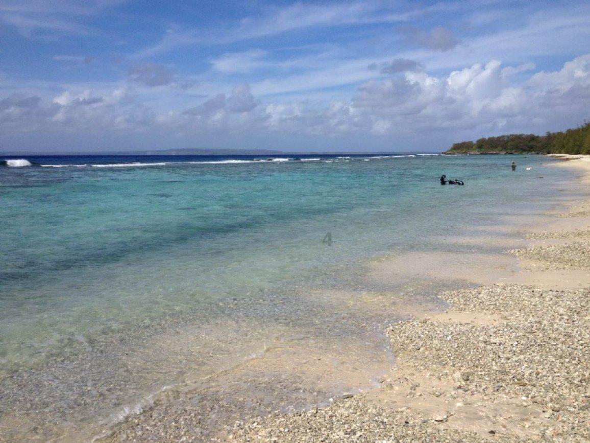 牛油果面包